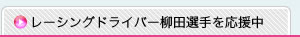 ���[�V���O�h���C�o�[���c�I���������